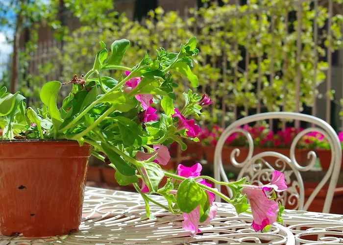 Bed & Breakfast Casalbergo Siena