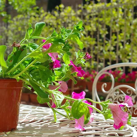 فندق مبيت وإفطار Casalbergo سيينا